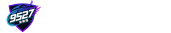 9527加速器logo